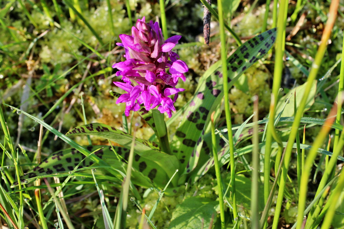 2014_04_29_00041531p_Bildgr��e �ndern