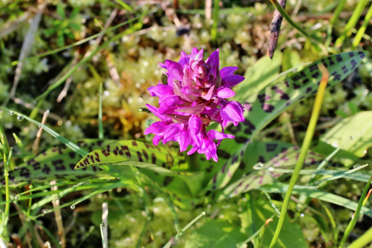 2014_04_29_00041534p_Bildgr��e �ndern