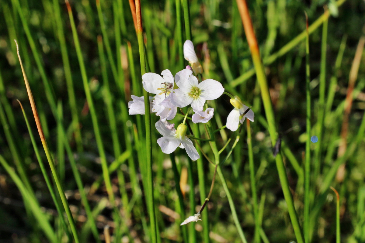 2014_04_29_00041544p_Bildgr��e �ndern