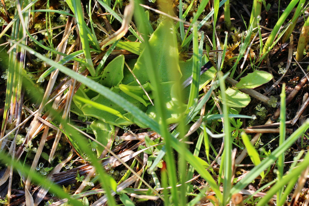 2014_04_29_00041546p_Bildgr��e �ndern