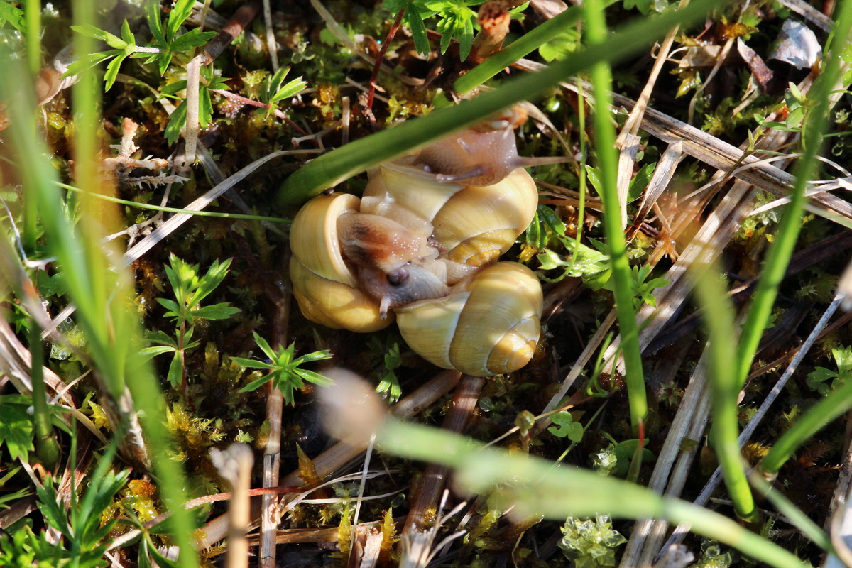 2014_04_29_00041550p_Bildgr��e �ndern