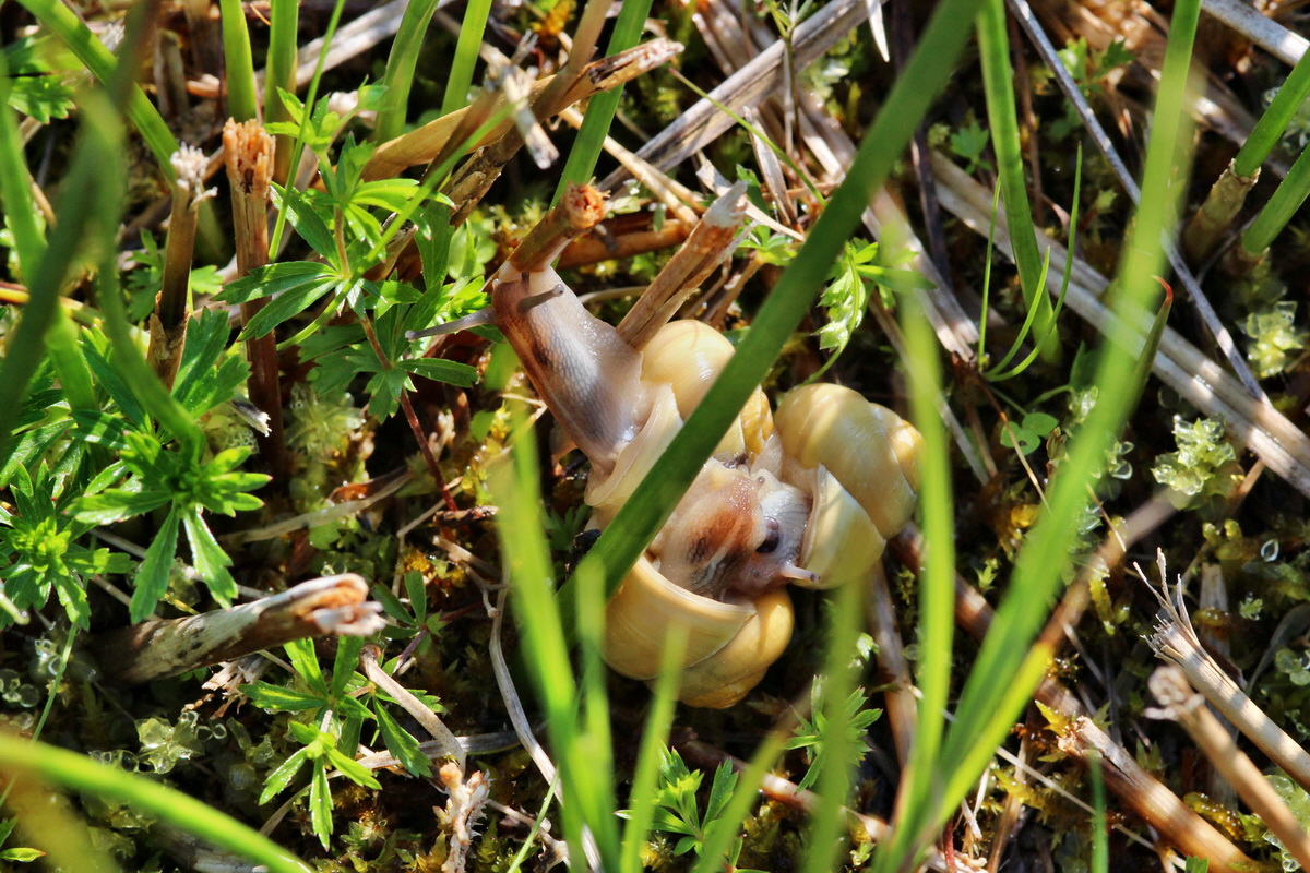 2014_04_29_00041555p_Bildgr��e �ndern