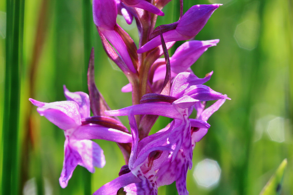 2014_04_29_00041561p_Bildgr��e �ndern