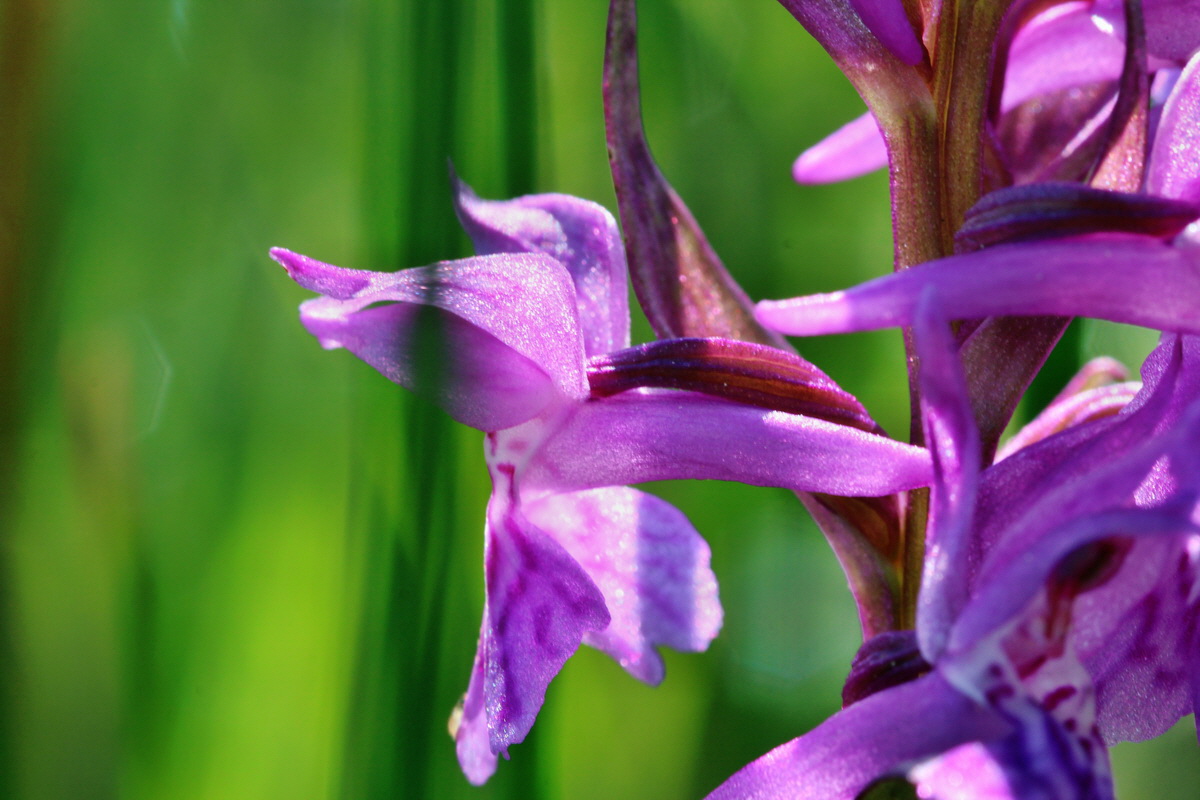 2014_04_29_00041568p_Bildgr��e �ndern