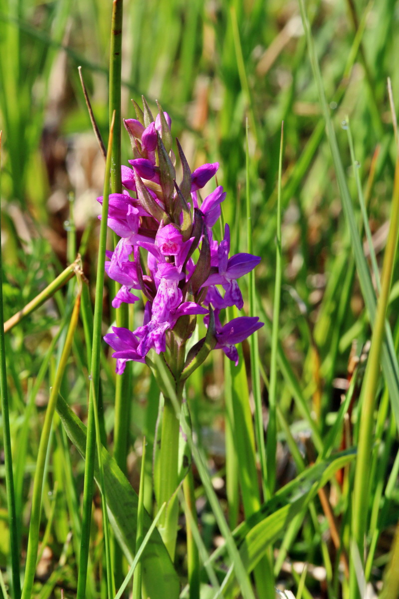 2014_04_29_00041575p_Bildgr��e �ndern