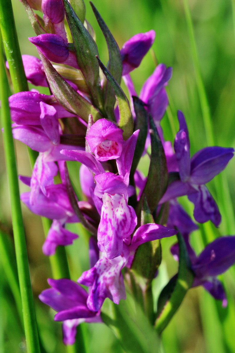 2014_04_29_00041578p_Bildgr��e �ndern