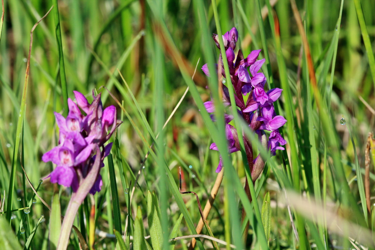 2014_04_29_00041583p_Bildgr��e �ndern