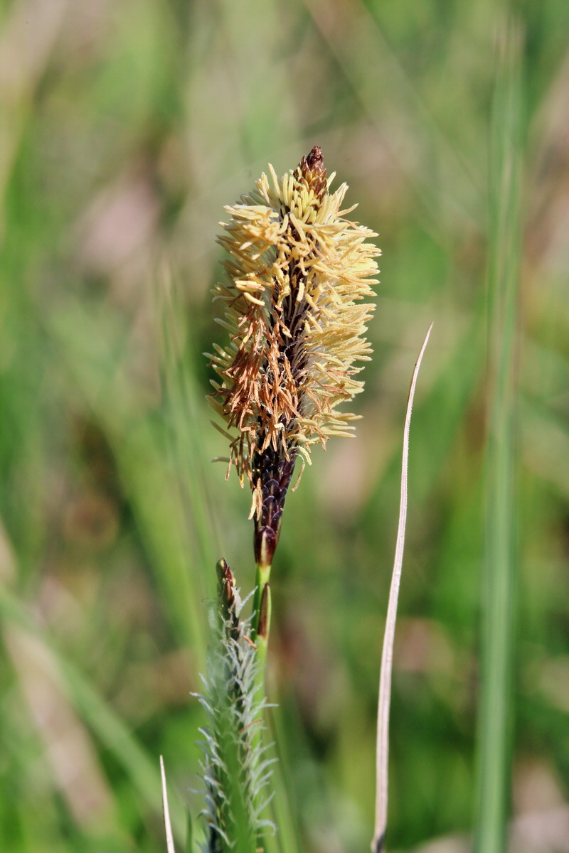 2014_04_29_00041591p_Bildgr��e �ndern