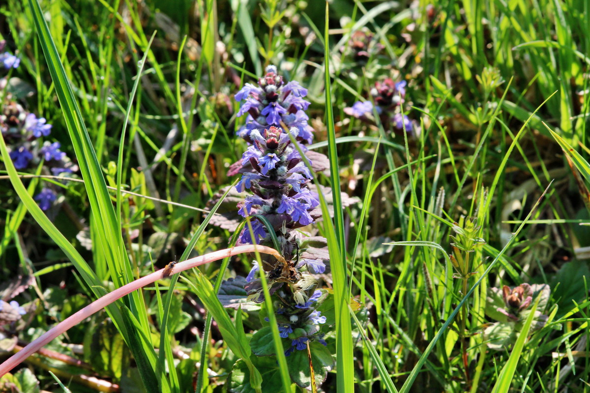 2014_04_29_00041595p_Bildgr��e �ndern