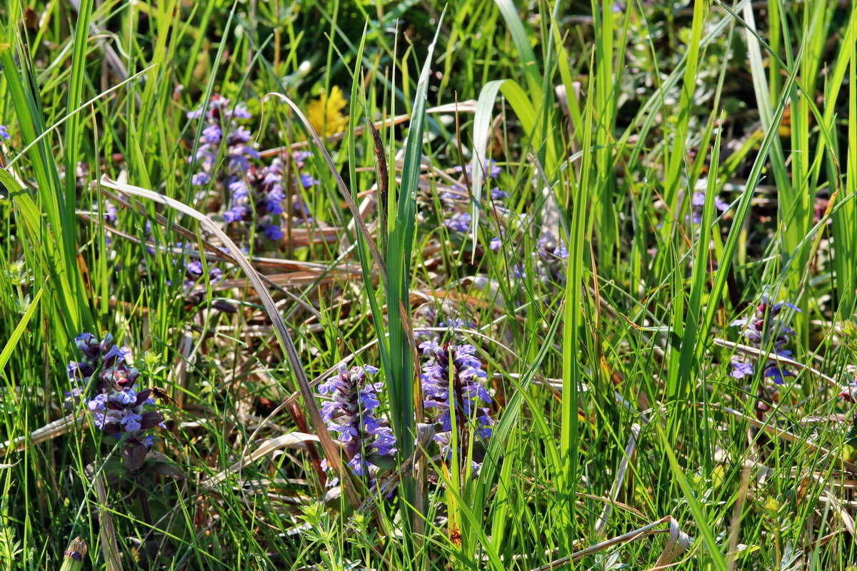 2014_04_29_00041598p_Bildgr��e �ndern