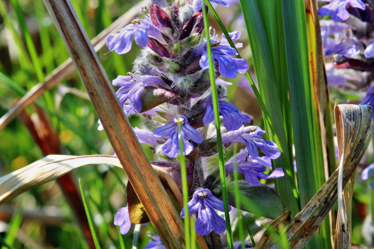 2014_04_29_00041601p_Bildgr��e �ndern