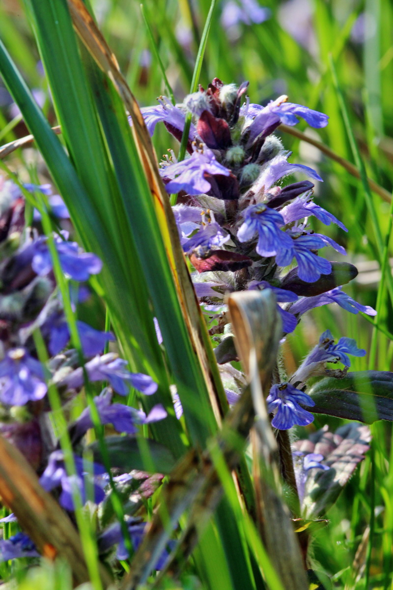 2014_04_29_00041606p_Bildgr��e �ndern