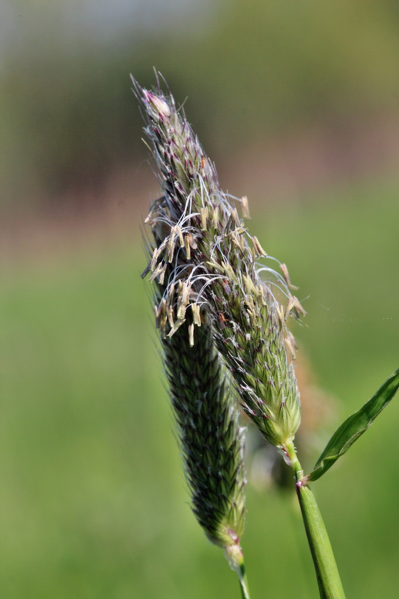 2014_04_29_00041618p_Bildgr��e �ndern