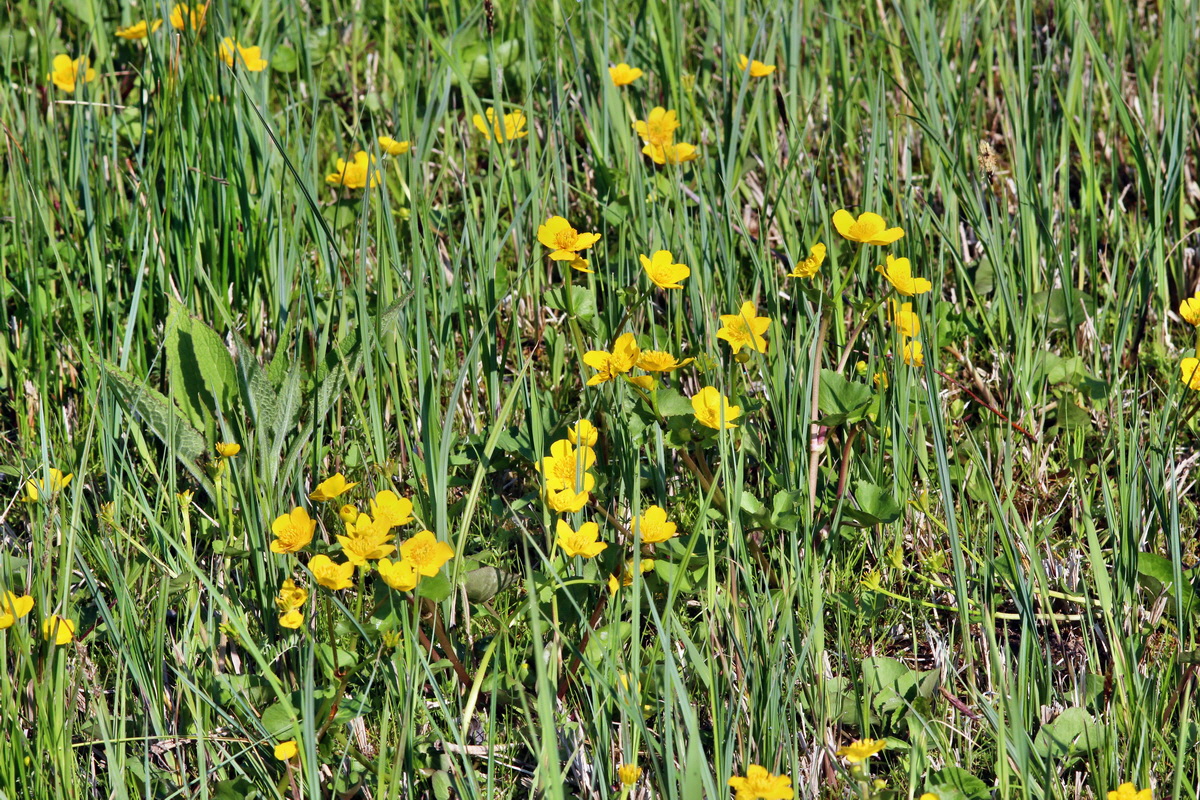 2014_04_29_00041624p_Bildgr��e �ndern