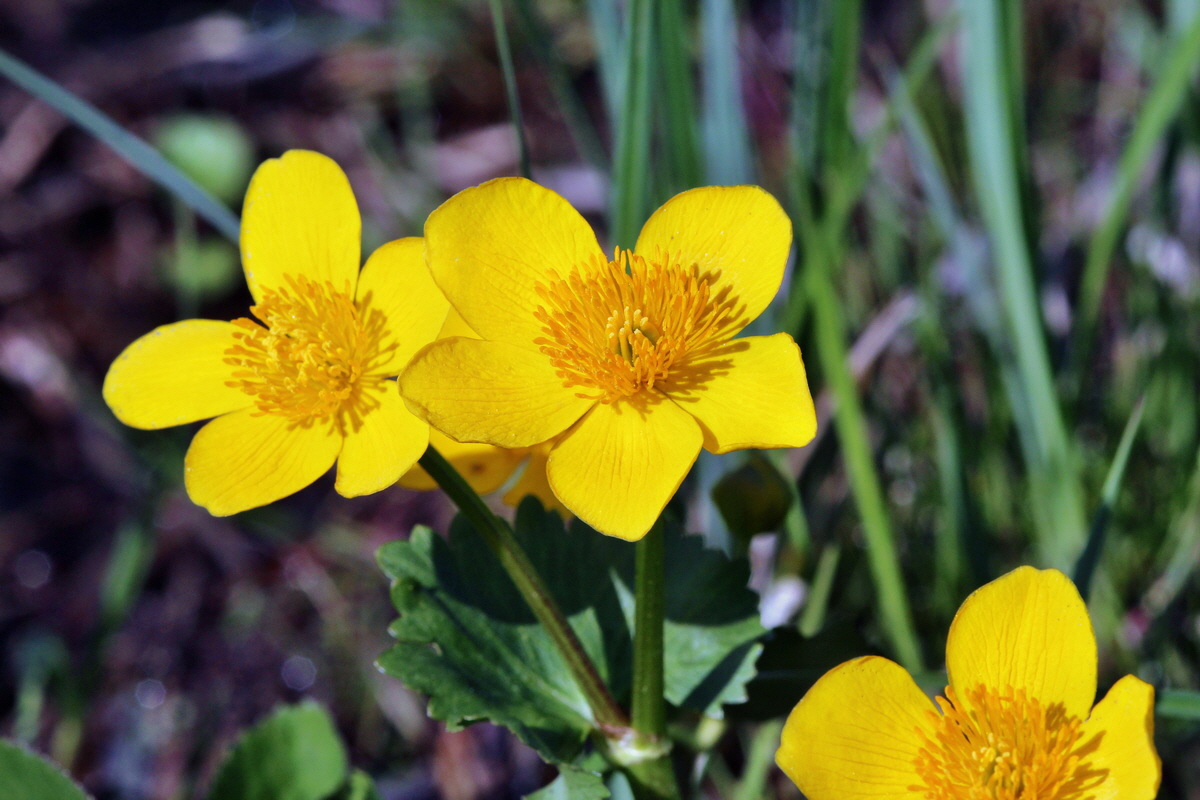 2014_04_29_00041626p_Bildgr��e �ndern