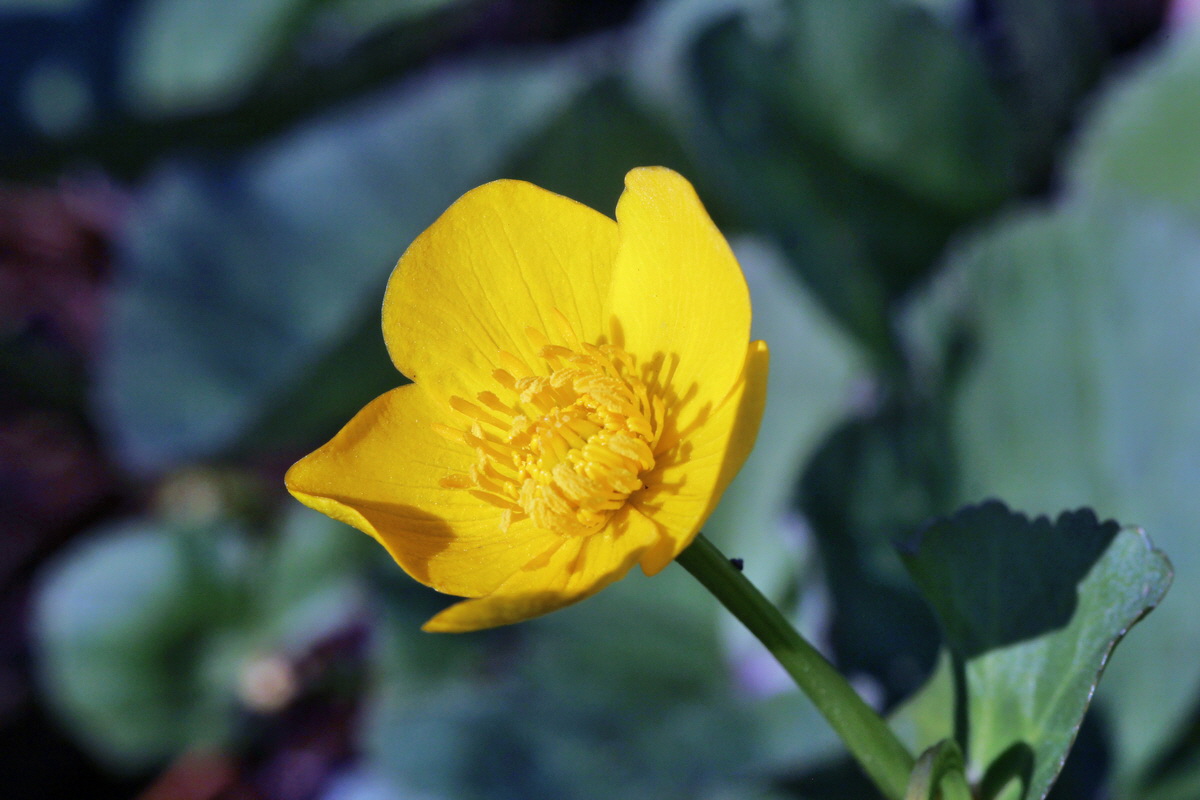 2014_04_29_00041628p_Bildgr��e �ndern