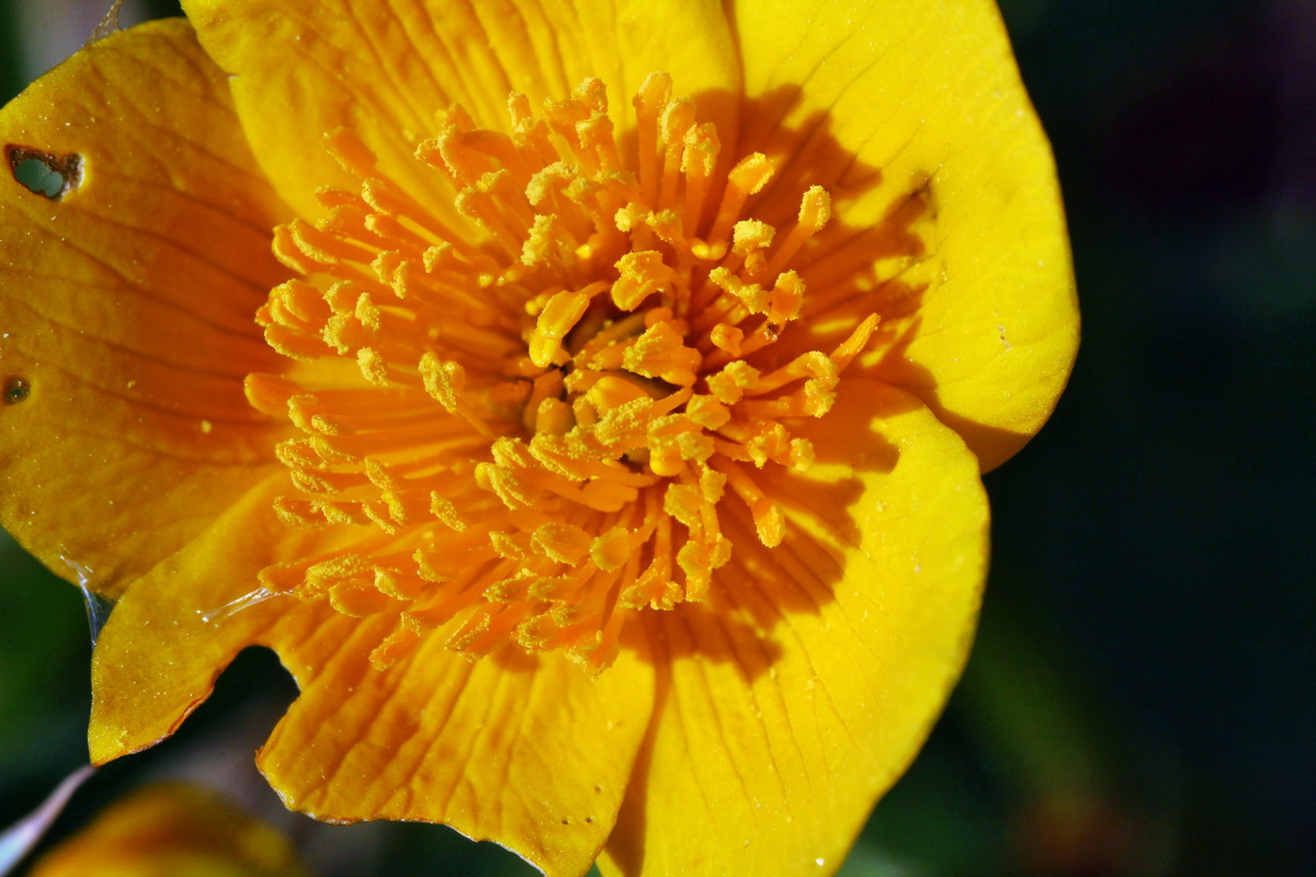 2014_04_29_00041631p_Bildgr��e �ndern