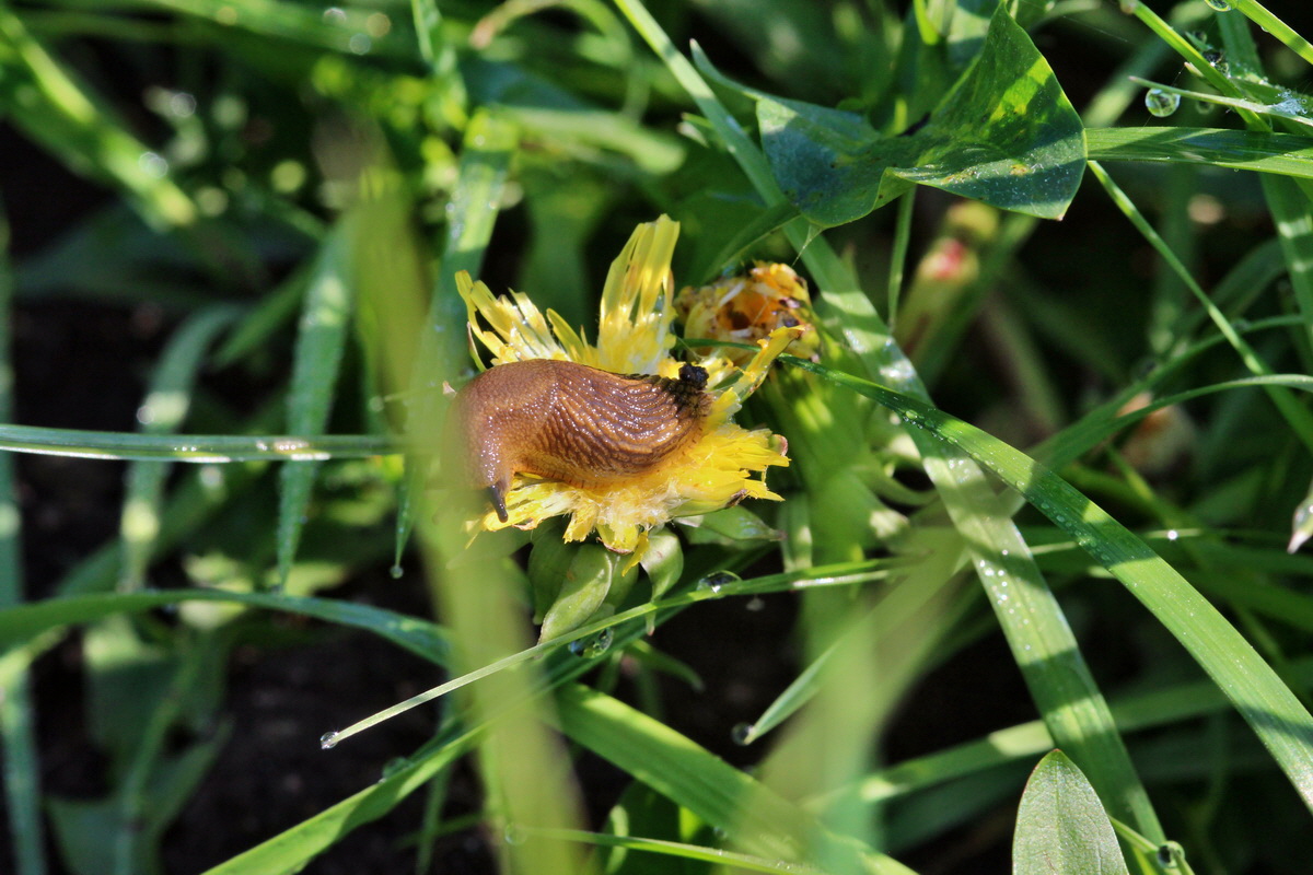 2014_04_29_00041649p_Bildgr��e �ndern