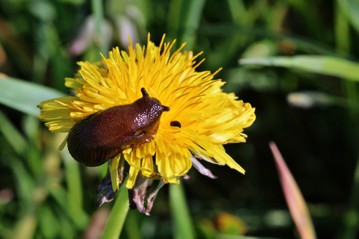 2014_04_29_00041664p_Bildgr��e �ndern