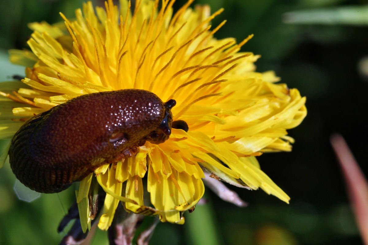 2014_04_29_00041668p_Bildgr��e �ndern