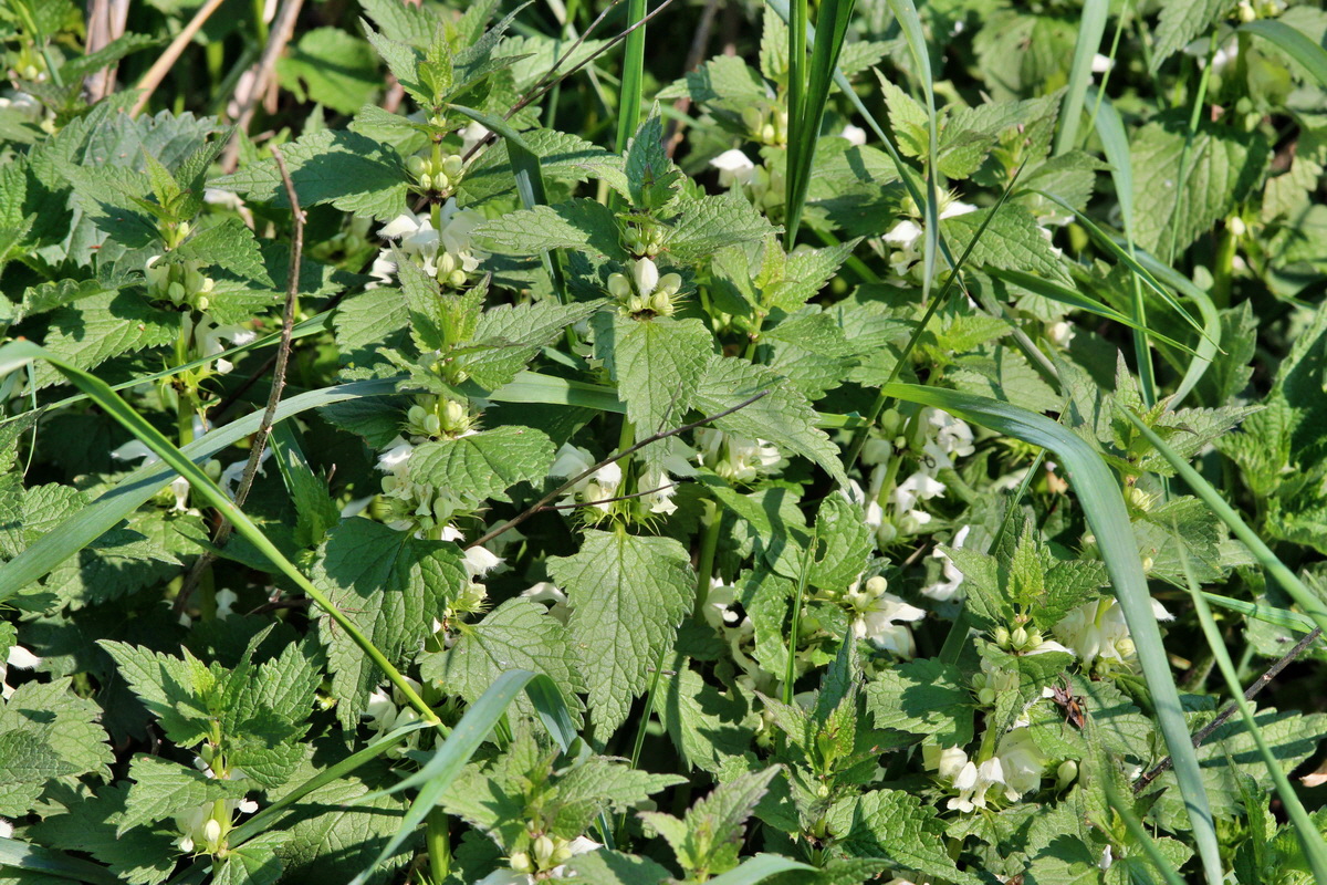 2014_04_29_00041674p_Bildgr��e �ndern