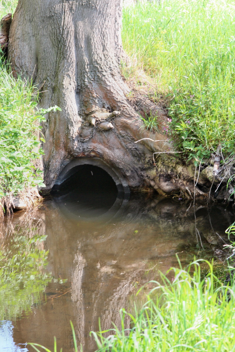 2014_04_29_00041680p_Bildgr��e �ndern