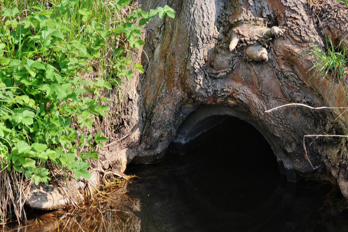 2014_04_29_00041688p_Bildgr��e �ndern