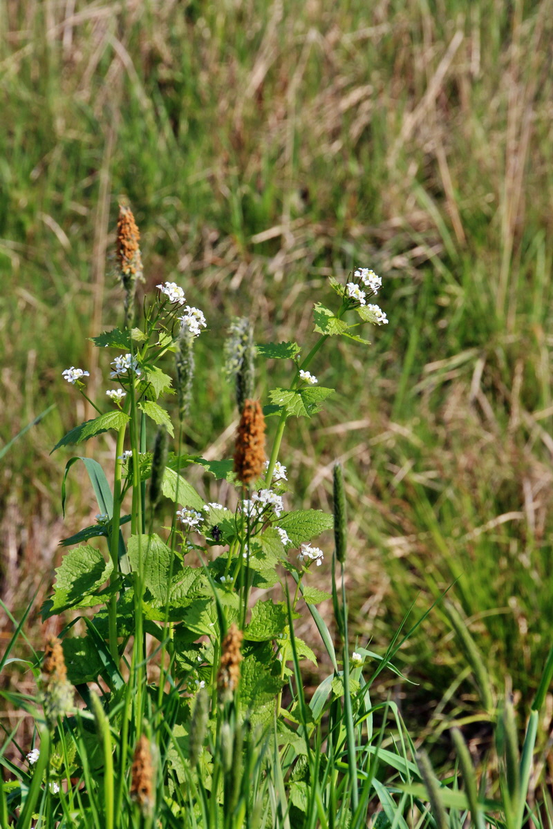 2014_04_29_00041695p_Bildgr��e �ndern