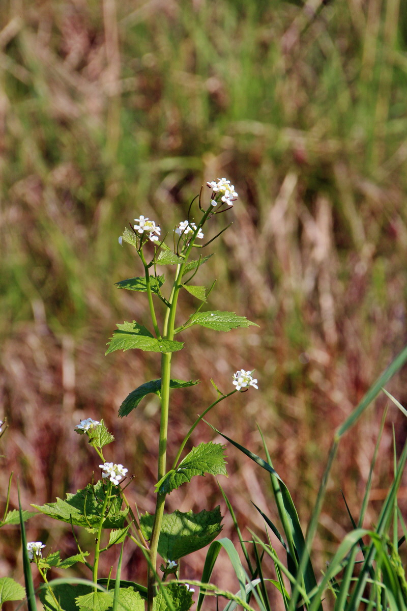 2014_04_29_00041698p_Bildgr��e �ndern