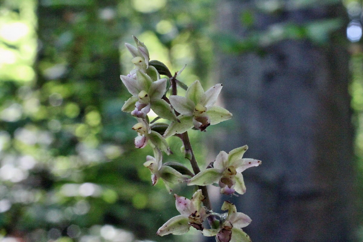 2014_08_08_00048321p_Bildgr��e �ndern