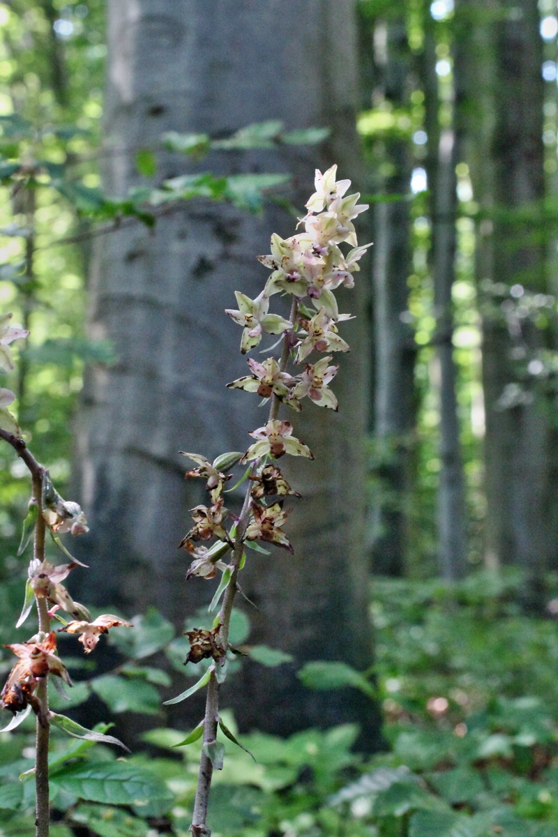 2014_08_08_00048325p_Bildgr��e �ndern