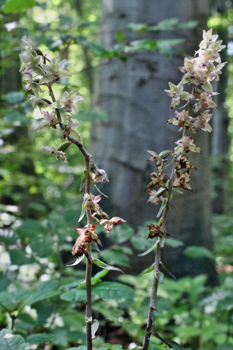 2014_08_08_00048327p_Bildgr��e �ndern