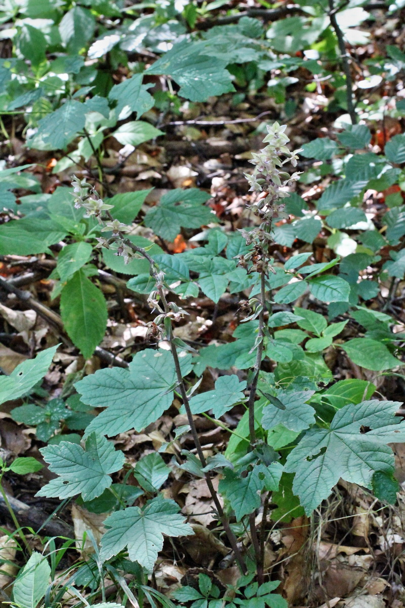 2014_08_08_00048329p_Bildgr��e �ndern