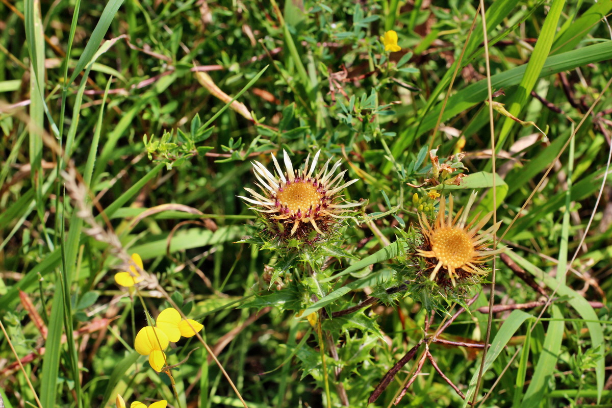 2014_08_08_00048333p_Bildgr��e �ndern