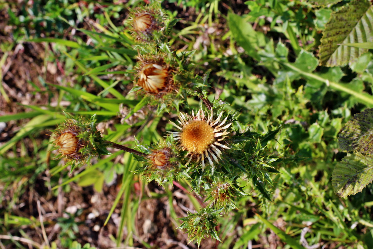 2014_08_08_00048339p_Bildgr��e �ndern