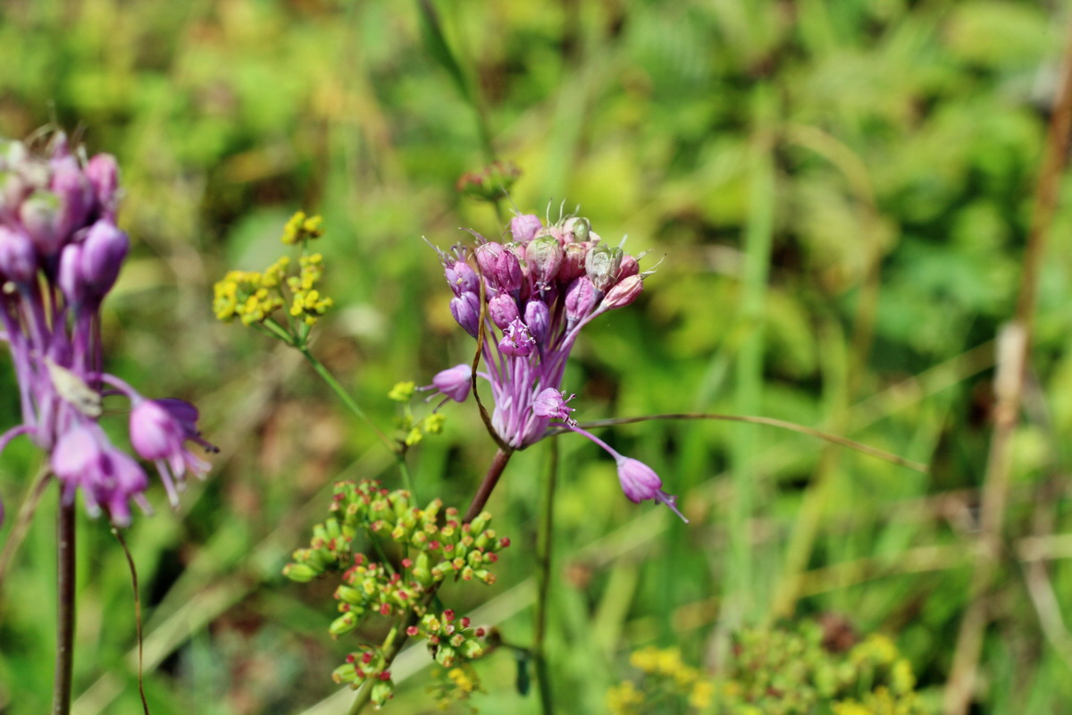 2014_08_08_00048341p_Bildgr��e �ndern