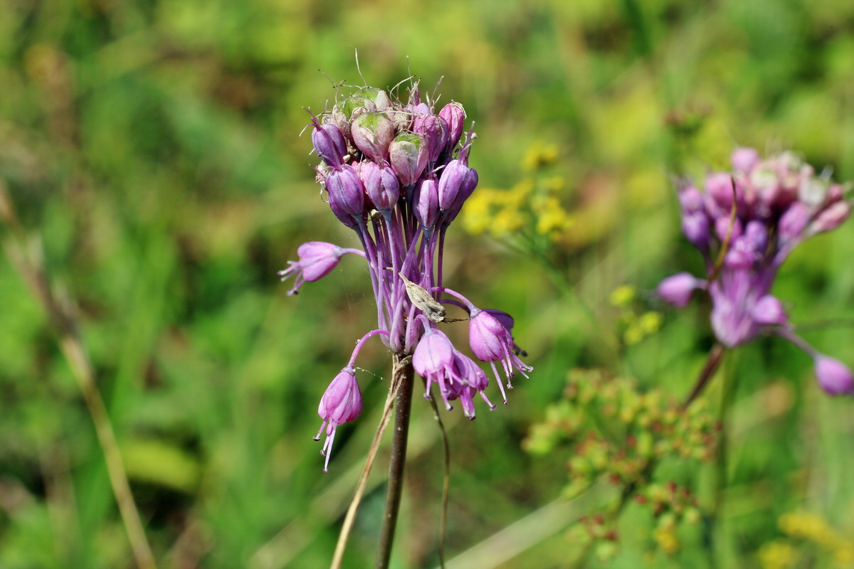 2014_08_08_00048343p_Bildgr��e �ndern