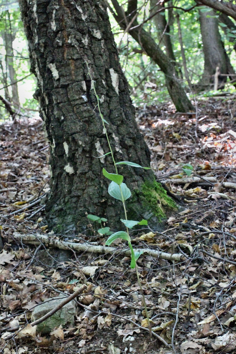 2014_08_08_00048352p_Bildgr��e �ndern