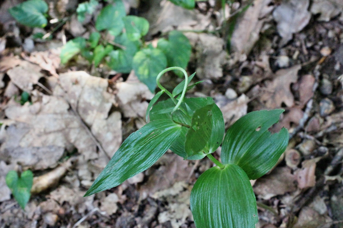 2014_08_08_00048359p_Bildgr��e �ndern