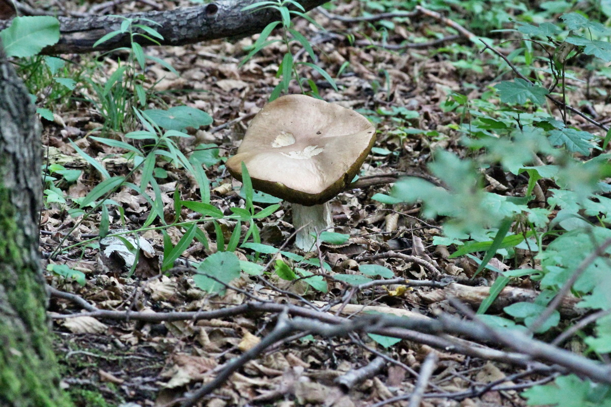 2014_08_08_00048367p_Bildgr��e �ndern