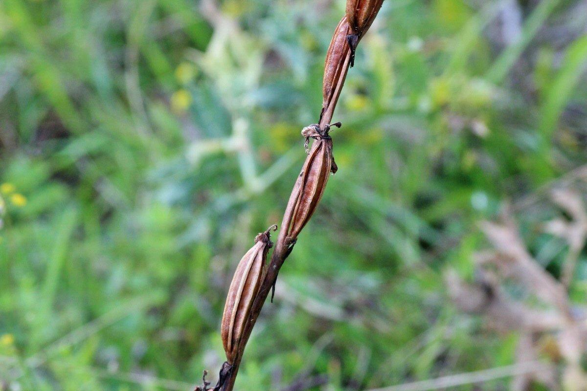 2014_08_08_00048370p_Bildgr��e �ndern