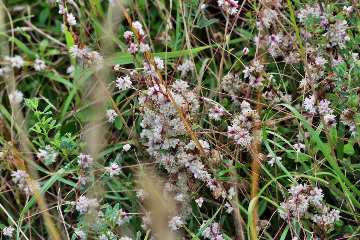 2014_08_08_00048454p_Bildgr��e �ndern