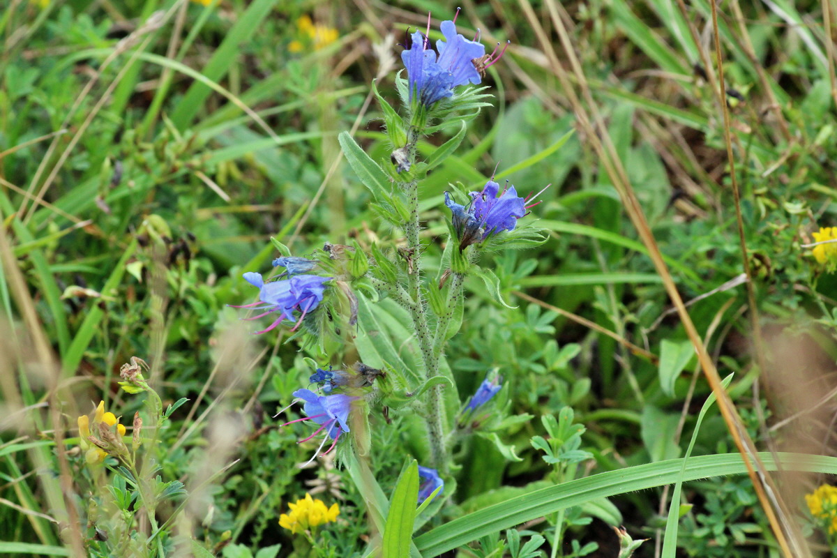 2014_08_08_00048495p_Bildgr��e �ndern