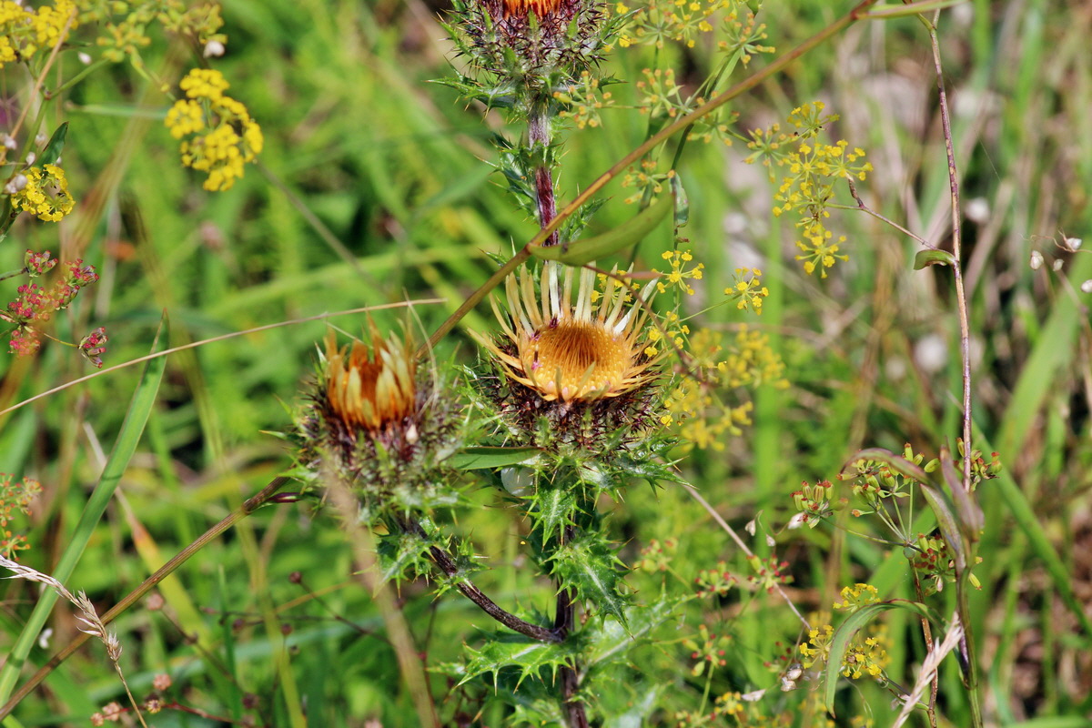 2014_08_08_00048498p_Bildgr��e �ndern