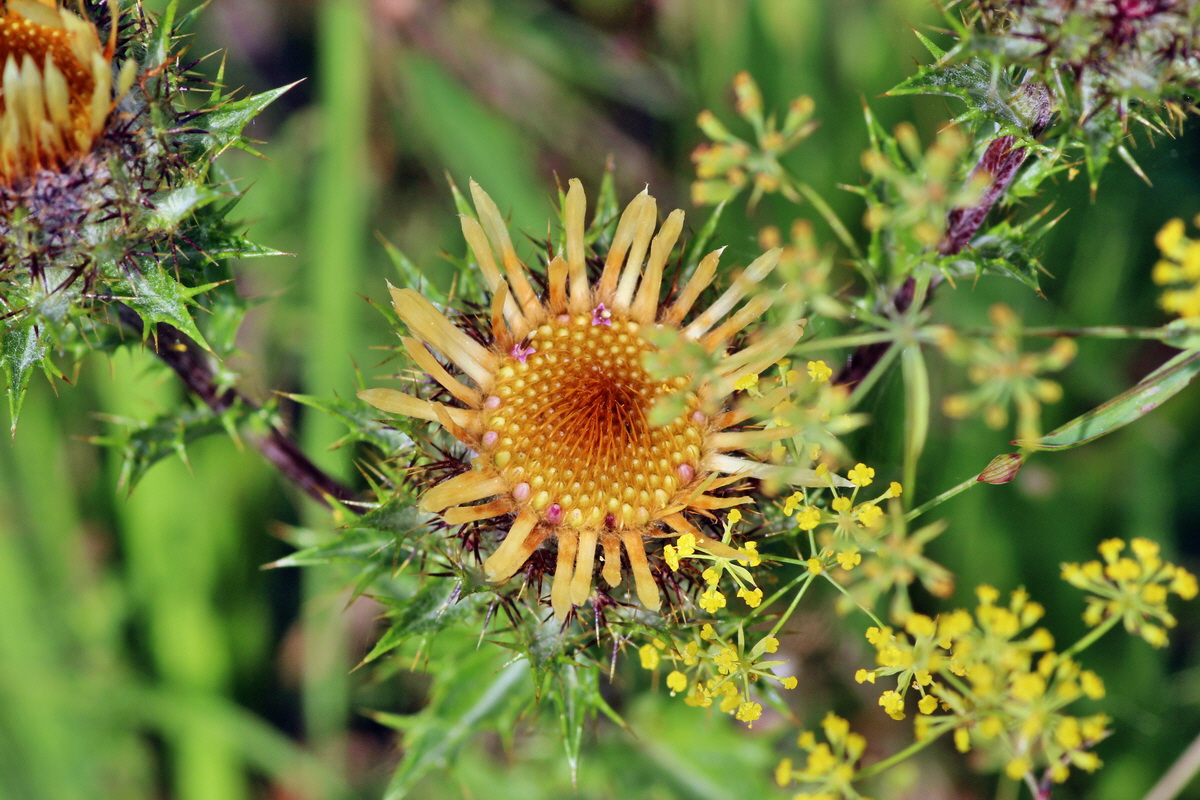 2014_08_08_00048502p_Bildgr��e �ndern