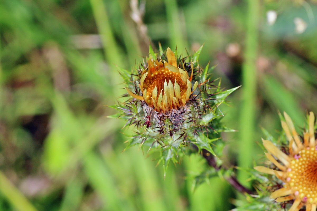 2014_08_08_00048505p_Bildgr��e �ndern