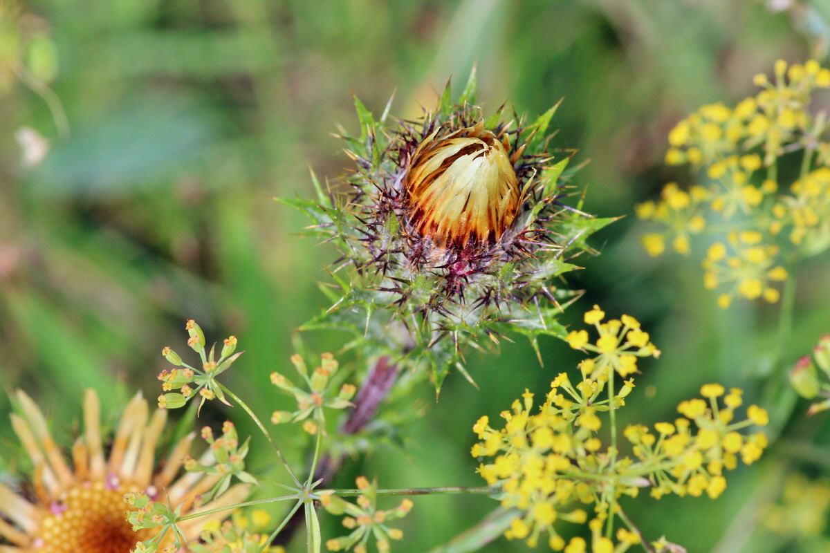 2014_08_08_00048507p_Bildgr��e �ndern