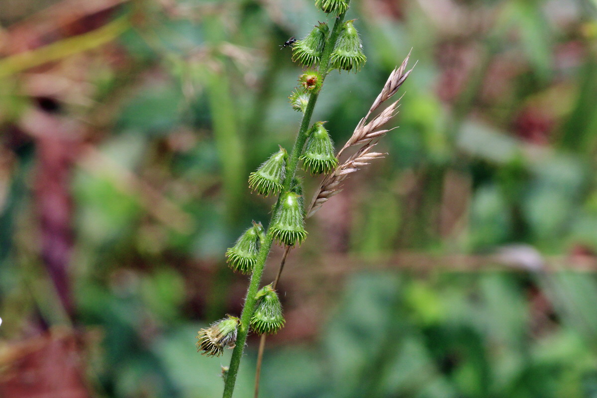 2014_08_08_00048518p_Bildgr��e �ndern