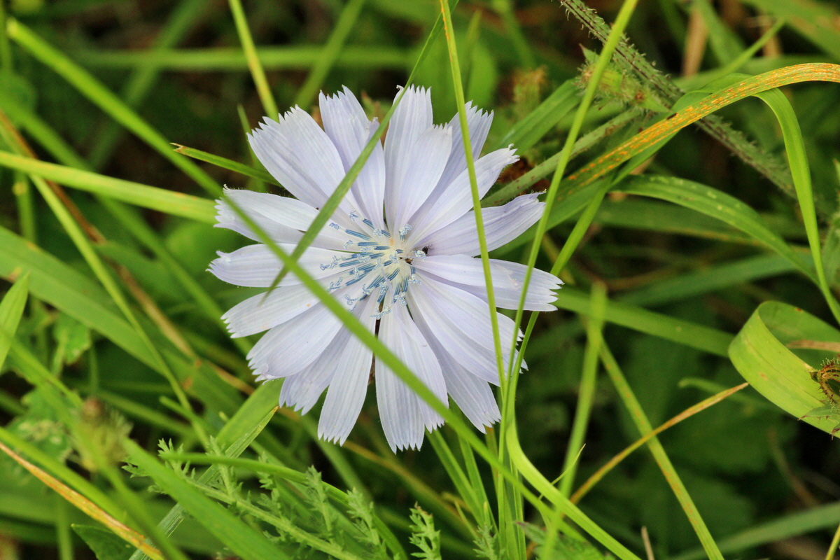 2014_08_08_00048527p_Bildgr��e �ndern