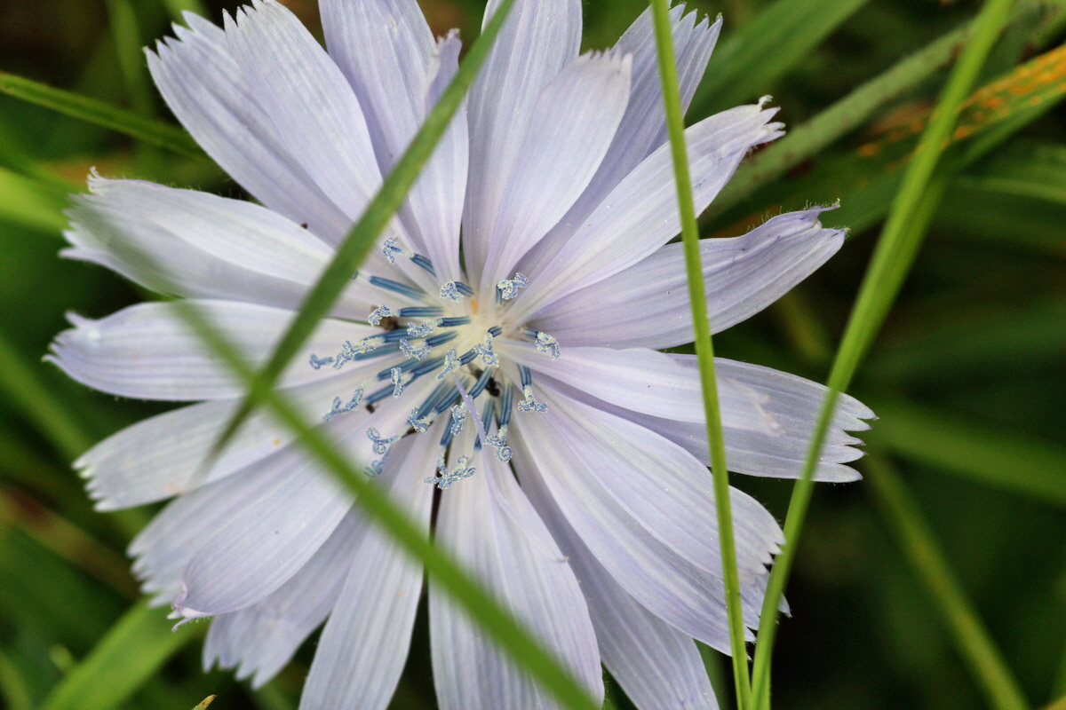 2014_08_08_00048529p_Bildgr��e �ndern